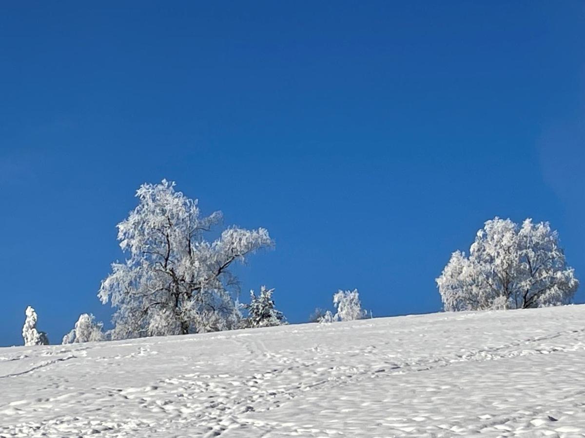 Appartementanlage Kerber Seefeld w Tirolu Zewnętrze zdjęcie